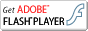 sFlash Player Version: 9,0,45,0 